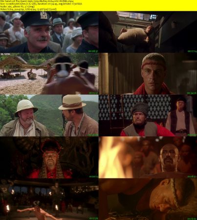The Quest 1996 720p BluRay H264 AAC-RARBG