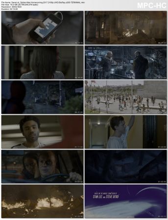 Spider-Man Homecoming 2017 2160p UHD BluRay x265-TERMiNAL