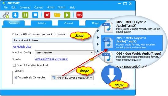 Allavsoft Video Downloader Converter 3.15.3.6534 Multilingual Portable