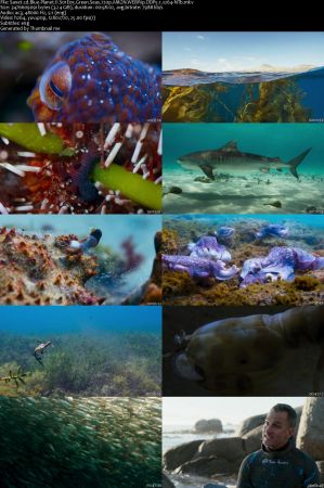 Blue Planet II S01E05 Green Seas 720p AMZN WEBRip DDP5.1 x264-NTb