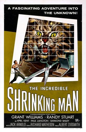The Incredible Shrinking Man 1957 BluRay 10Bit 1080p AC-3 H265-d3g