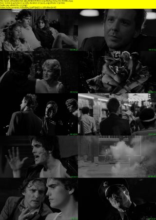 Rumble Fish 1983 REMASTERED 720p BluRay H264 AAC-RARBG