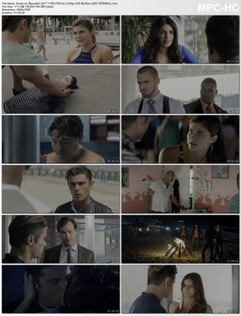 Baywatch 2017 THEATRICAL 2160p UHD BluRay x265-TERMiNAL