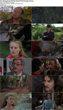 The Princess Bride 1987 720p Bluray AC3 x264 AdiT