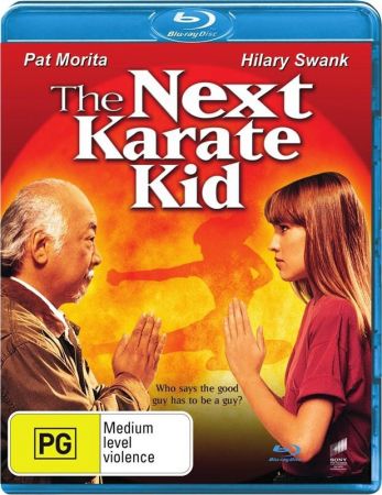 The Next Karate Kid 1995 BRRip XviD MP3-RARBG