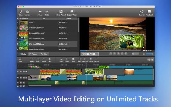Video Editor MovieMator Pro 2.4.0 macOS