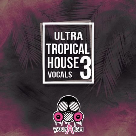 Vandalism - Ultra Tropical House Vocals 3 WAV MIDI