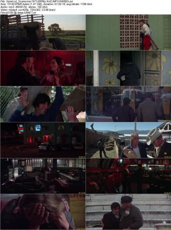 Scarecrow 1973 BRRip XviD MP3-RARBG