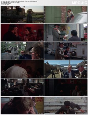 Scarecrow 1973 BluRay 10Bit 1080p AC-3 H265-d3g