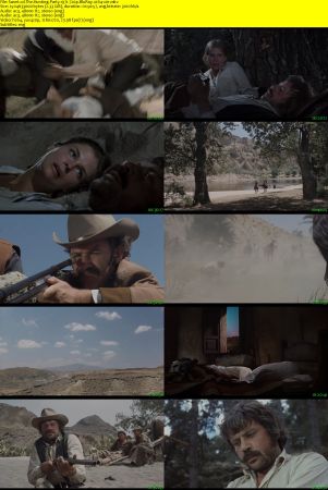 The Hunting Party 1971 720p BluRay x264-x0r