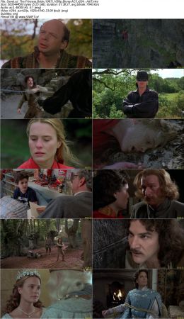 The Princess Bride 1987 1080p Bluray AC3 x264 AdiT