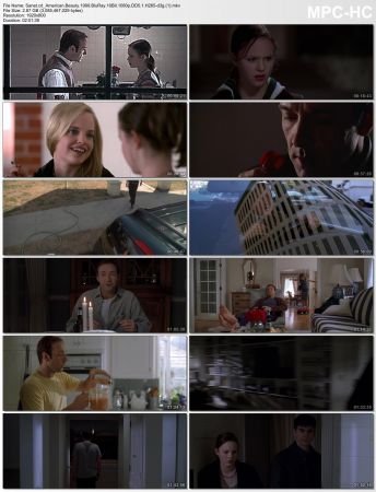 American Beauty 1999 BluRay 10Bit 1080p DD5.1 H265-d3g