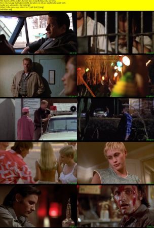 The Indian Runner 1991 720p BluRay x264-x0r