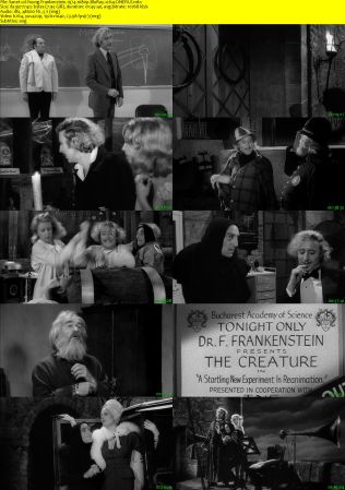 Young Frankenstein 1974 1080p BluRay x264-CiNEFiLE