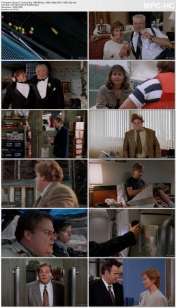 Tommy Boy 1995 BluRay 10Bit 1080p DD5.1 H265-d3g
