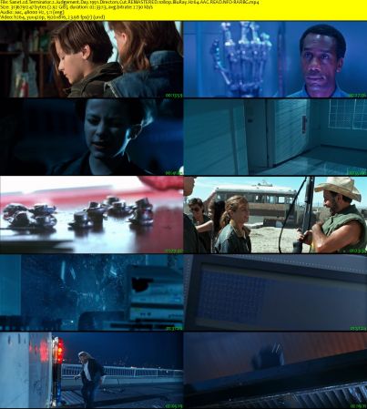 Terminator 2 Judgement Day 1991 Directors Cut REMASTERED 1080p BluRay H264 AAC READ NFO-RARBG
