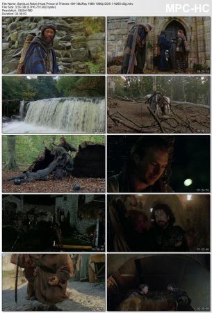 Robin Hood Prince of Thieves 1991 BluRay 10Bit 1080p DD5.1 H265-d3g