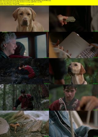 Far from Home The Adventures of Yellow Dog 1995 WEBRip x264-RARBG