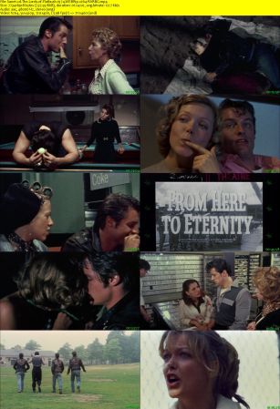 The Lords of Flatbush 1974 WEBRip x264-RARBG