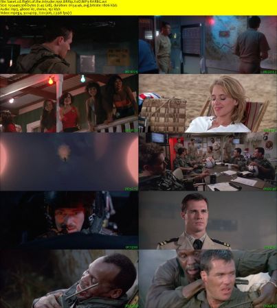 Flight of the Intruder 1991 BRRip XviD MP3-RARBG