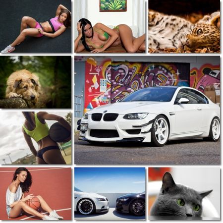 Best Beautiful Wallpapers Pack 996
