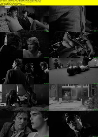Rumble Fish 1983 REMASTERED BRRip XviD MP3-RARBG