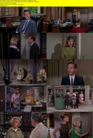 That Funny Feeling 1965 720p HDTV x264-REGRET