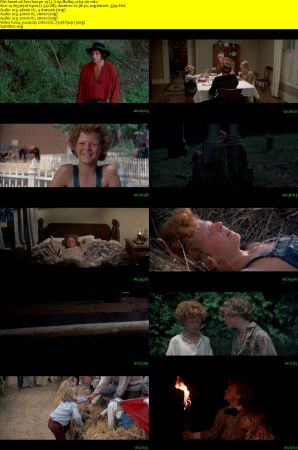 Tom Sawyer 1973 720p BluRay x264-x0r