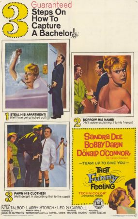 That Funny Feeling 1965 720p HDTV x264-REGRET