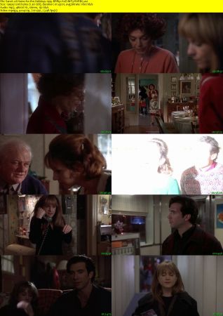 Home for the Holidays 1995 BRRip XviD MP3-RARBG