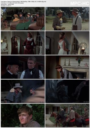 Shenandoah 1965 BluRay 10Bit 1080p AC-3 H265-d3g