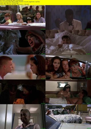 Shag 1989 480p x264-mSD