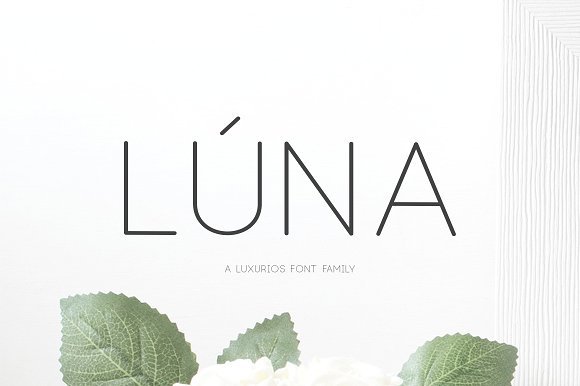 New Luna - A Luxurios Font Family 2163335