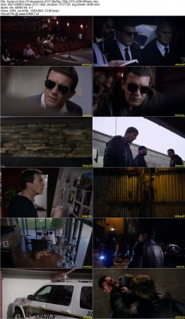Acts Of Vengeance 2017 BluRay 720p DTS x264-MTeam