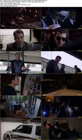 Acts Of Vengeance 2017 BluRay 1080p AAC x264-MTeamPAD