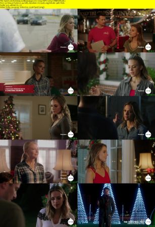 Christmas in Mississippi 2017 720p HDTV x264-CRiMSON