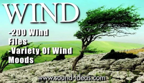 Sound Ideas Wind Sound Effects WAV