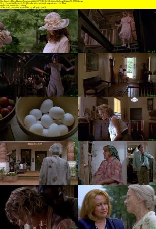 Fried Green Tomatoes 1991 EXTENDED CUT 1080p BluRay H264 AAC-RARBG