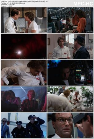 Innerspace 1987 BluRay 10Bit 1080p DD5.1 H265-d3g