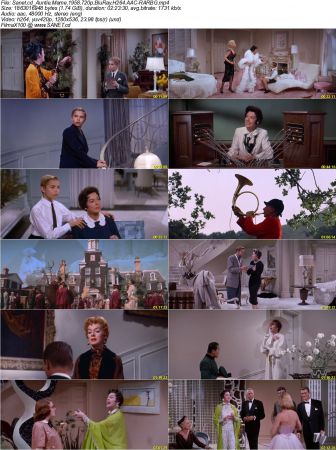Auntie Mame 1958 720p BluRay H264 AAC-RARBG