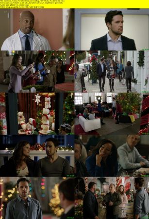 A Rose For Christmas 2017 1080p HDTV h264-PLUTONiUM