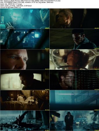 Blade Runner 1982 Final Cut 720p BRRip x264 DTS-DiVERSiTY