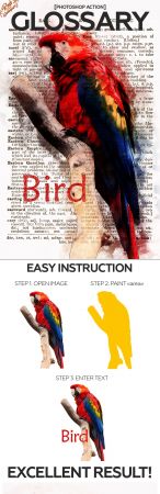 Glossary Photoshop Action 21138205 