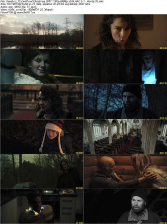12 Deaths of Christmas 2017 1080p BRRip x264 AAC 5.1 Hon3y