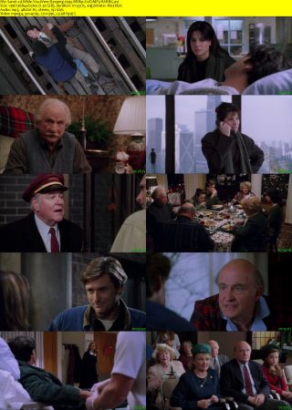 While You Were Sleeping 1995 BRRip XviD MP3-RARBG
