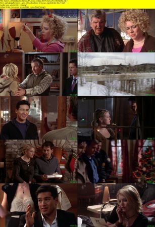 Holiday In Handcuffs 2007 1080p HDTV h264-PLUTONiUM
