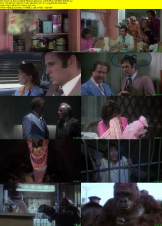 The Incredible Shrinking Woman 1981 BRRip XviD MP3-RARBG