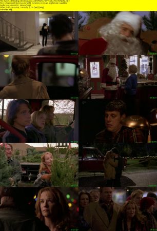 Stealing Christmas 2003 iNTERNAL HDTV x264-PLUTONiUM
