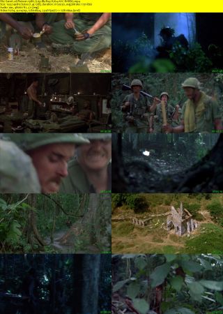 Platoon 1986 720p BluRay H264 AAC-RARBG