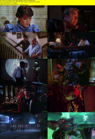 Gremlins 1984 1080p BluRay H264 AAC-RARBG
